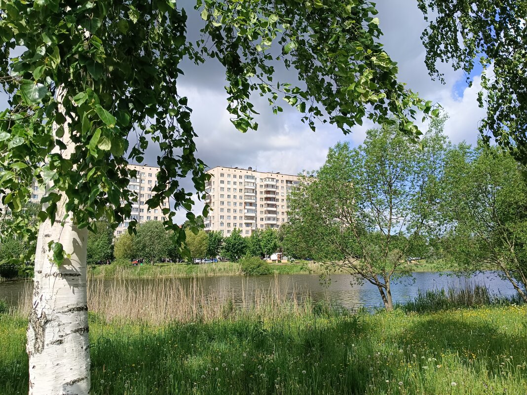 Июньским днём в парке - Мария Васильева