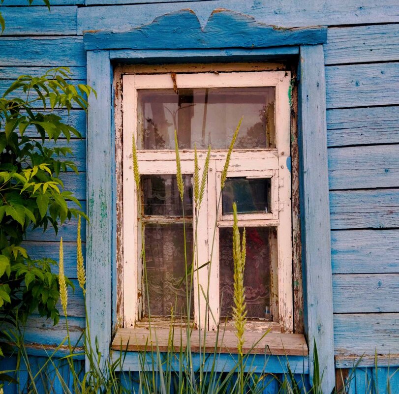 Старое окно. С наступлением пластика их становится всё меньше и меньше. - Галина Бобкина