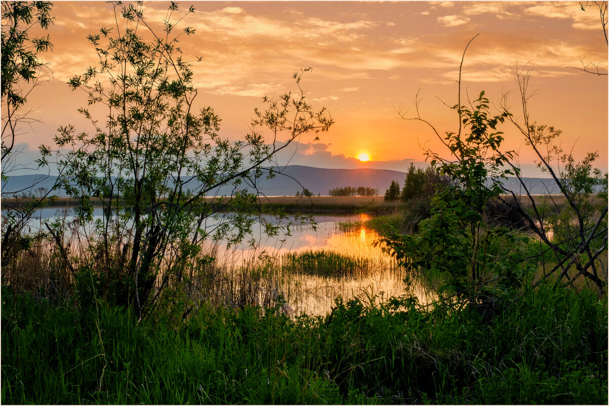 *** - Алексей Мезенцев