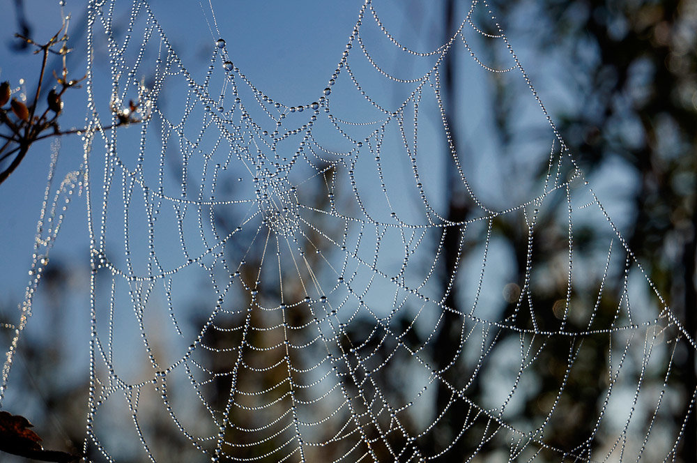 паутинка - Валерий 