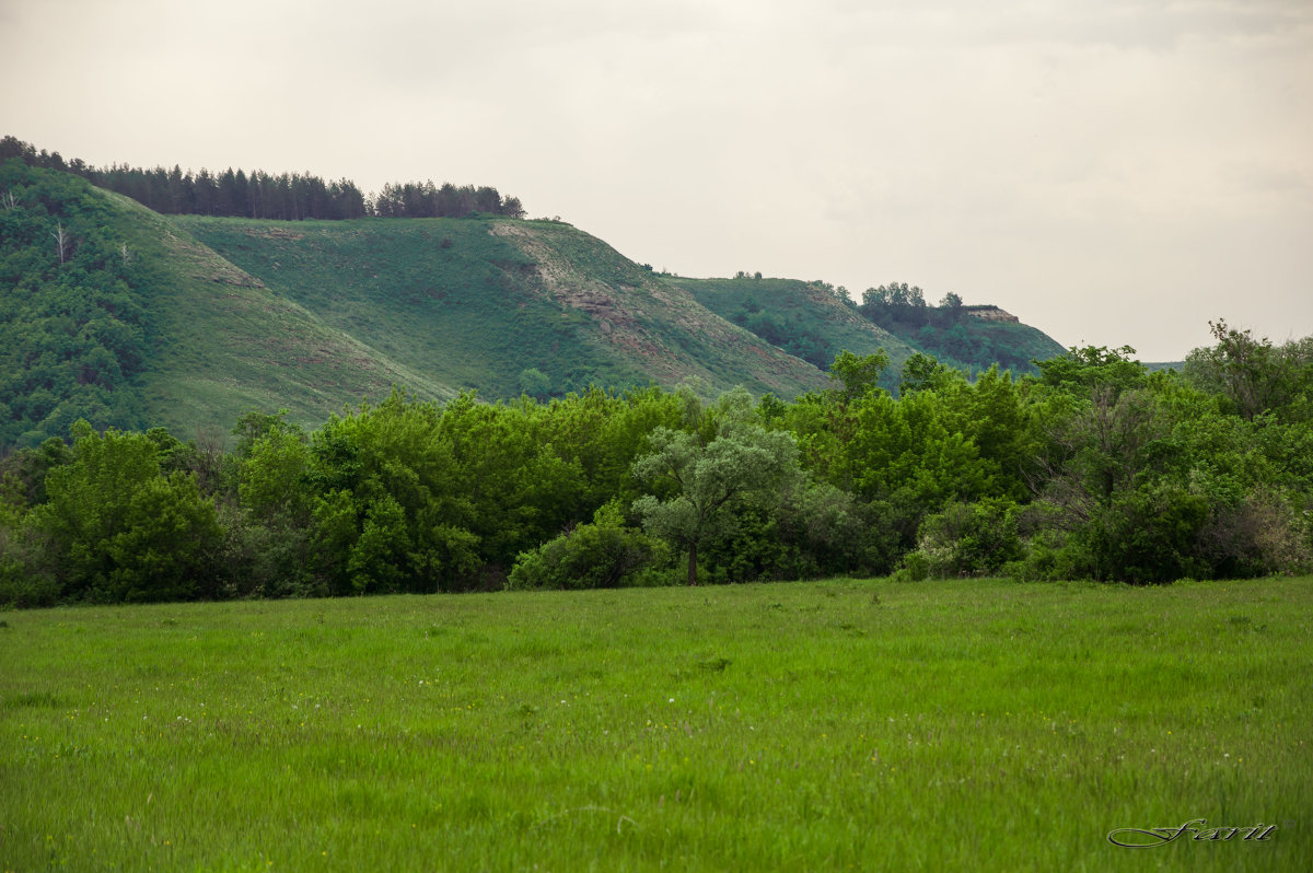 Приуралье - Фарит 