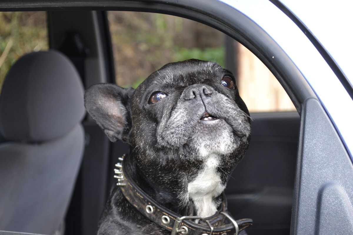 *** - Andrey Stolyarenko