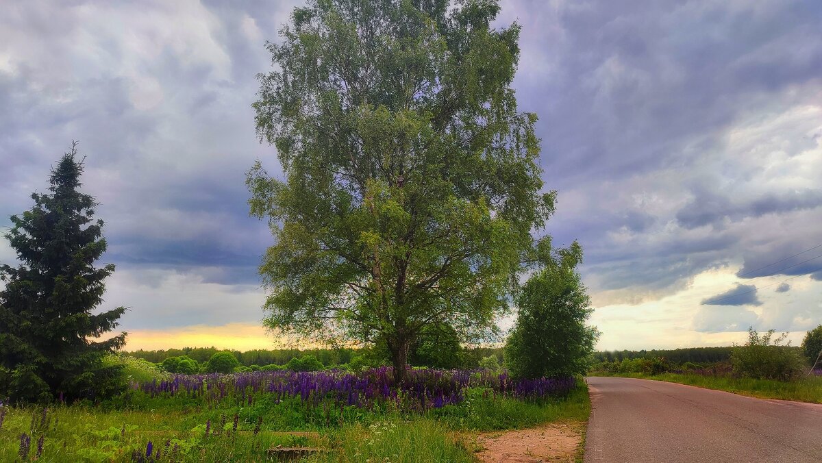 Во поле березка - Наталья Лакомова