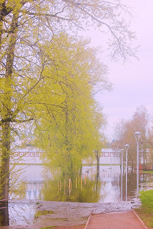 Весенний день - Сергей Кочнев