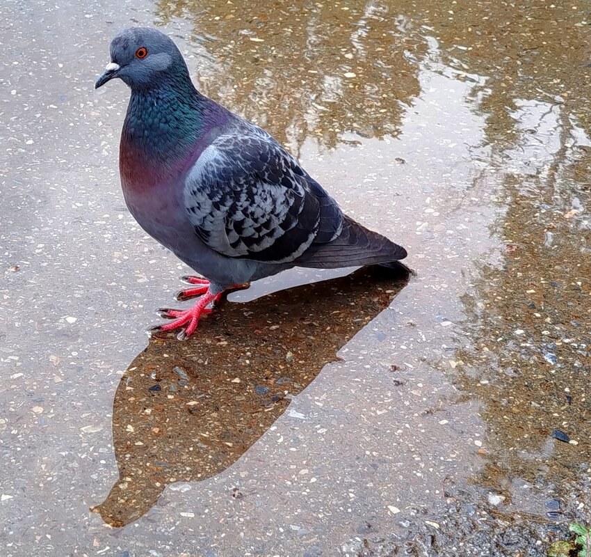 водные процедуры - светлана льдокова водные процедуры - светлана льдокова