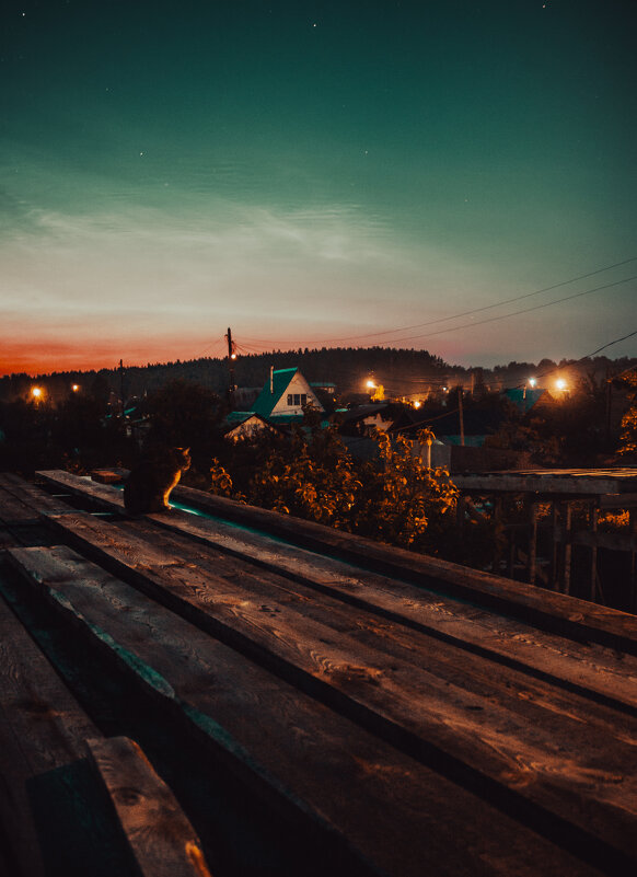 Задумчивая кошка - Ярослав Теплов