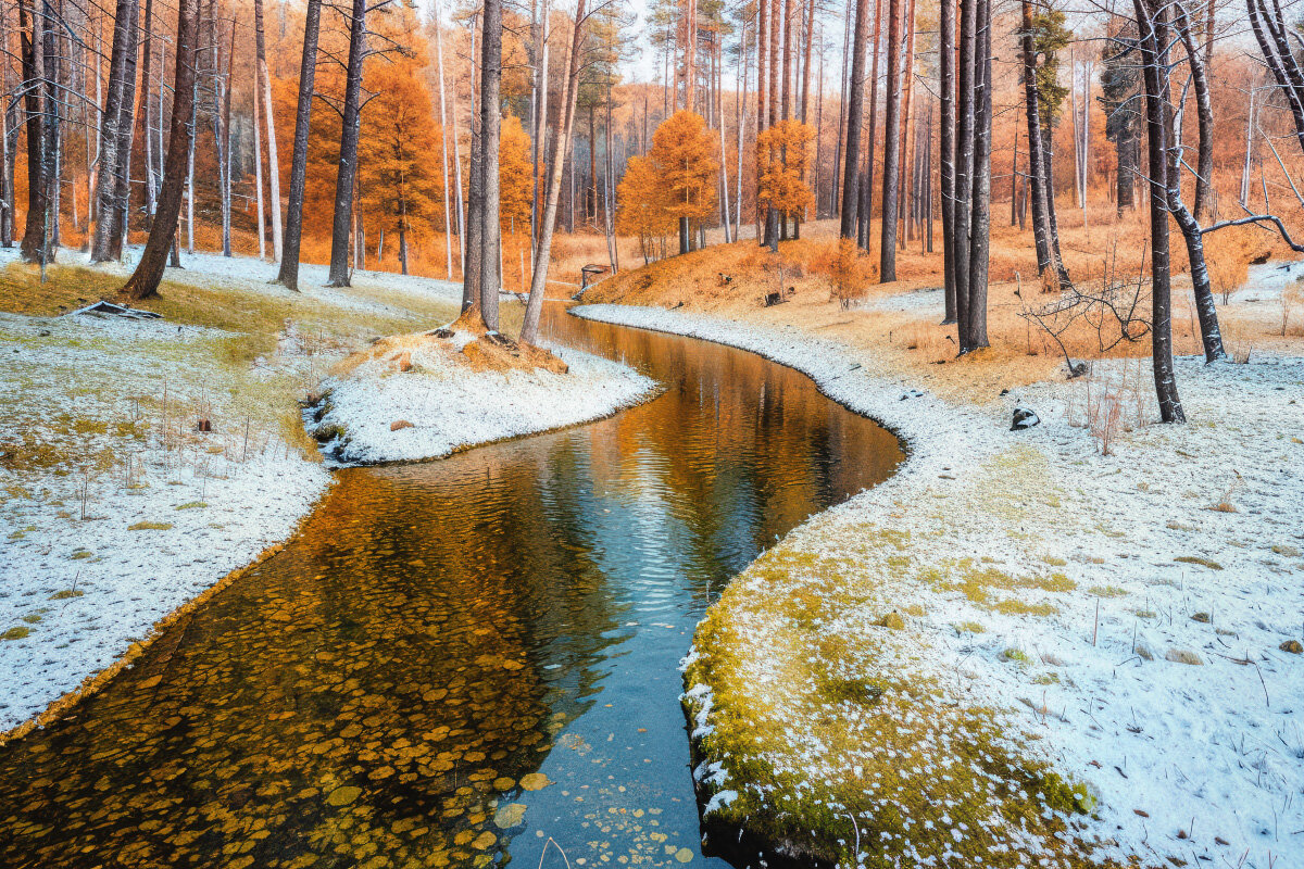 Осенний пейзаж - Валерий Вождаев