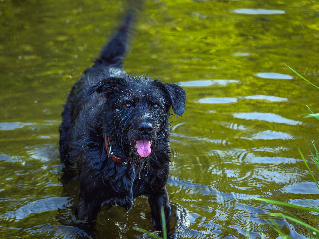 ... - Жора Житников ... - Жора Житников