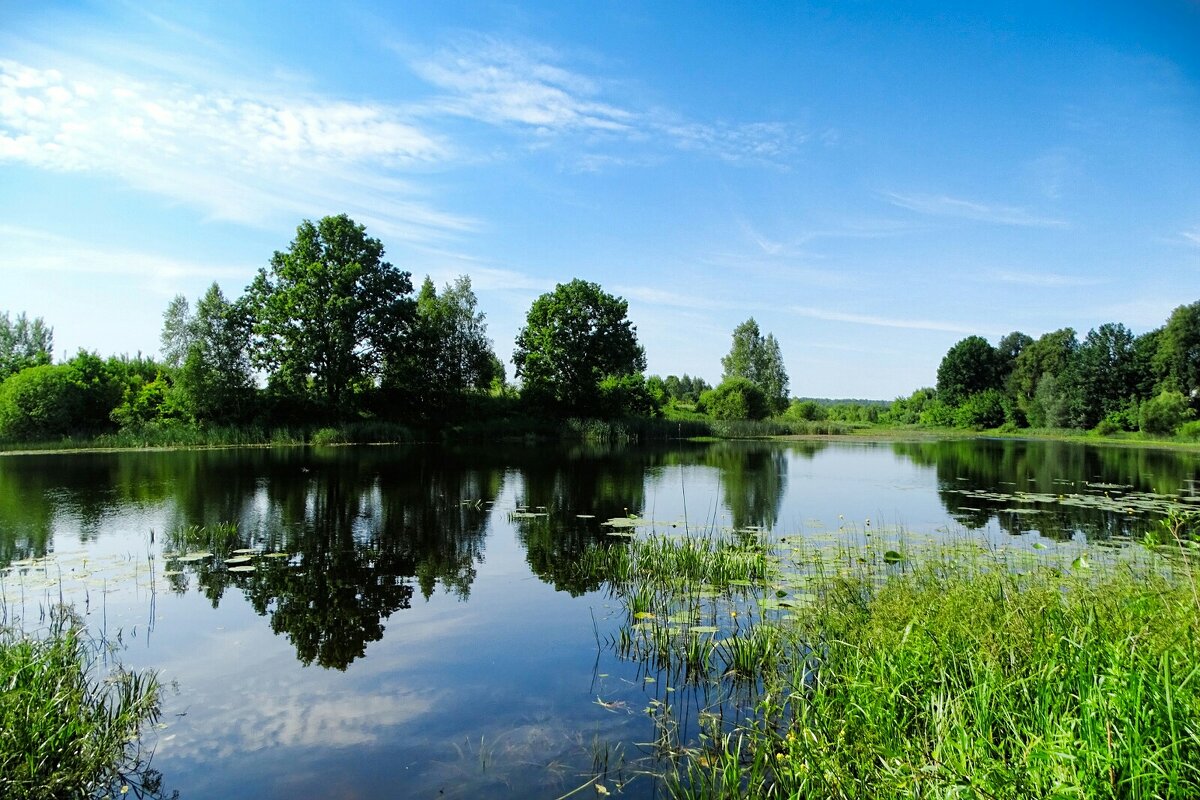 Наше лето (репортаж из поездок по области). - Милешкин Владимир Алексеевич 