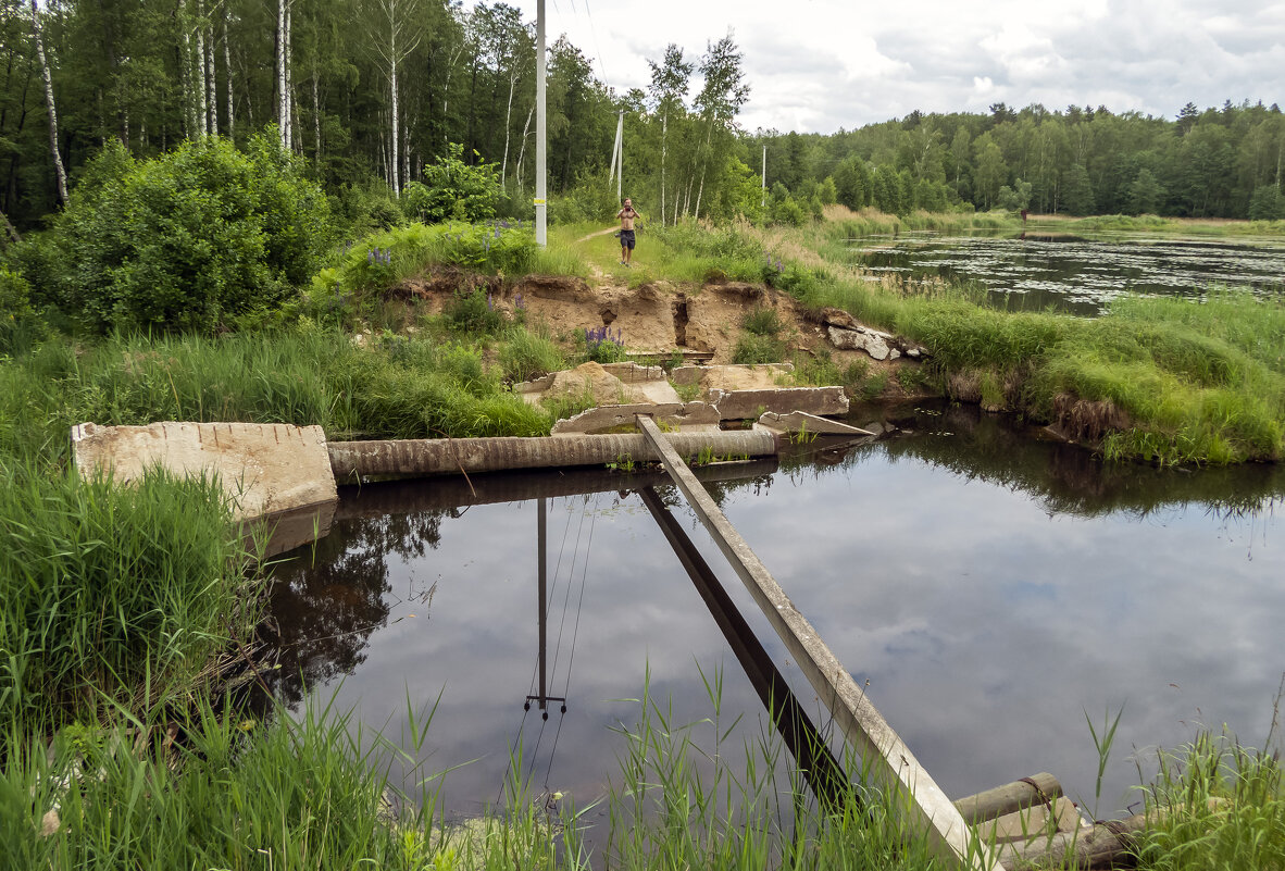 Жаль что мы не из цирка - Сергей Цветков