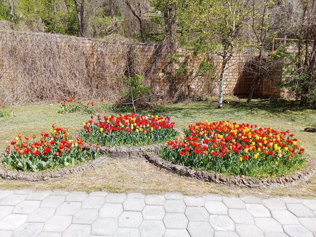 Три "сестрицы" - Виктор 