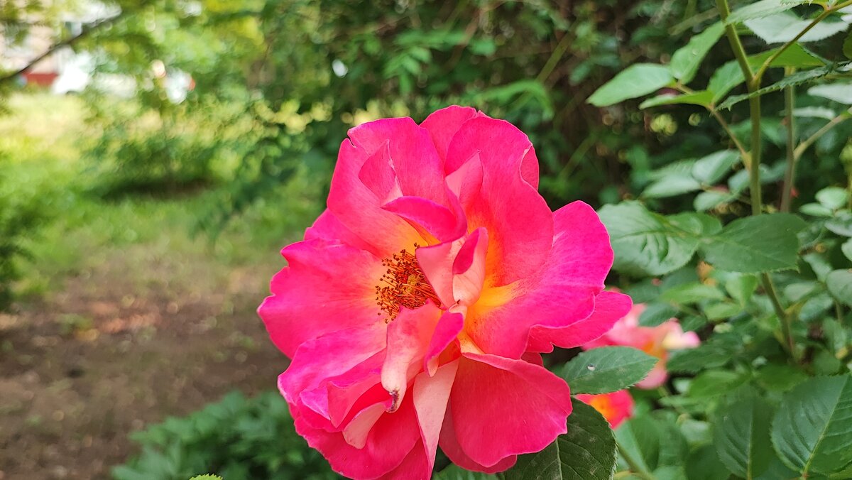 ,,, - Сергей Тимоновский