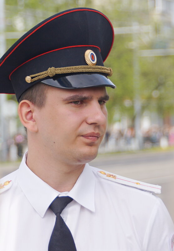 Недовольный постовой - Наталия Григорьева Недовольный постовой - Наталия Григорьева