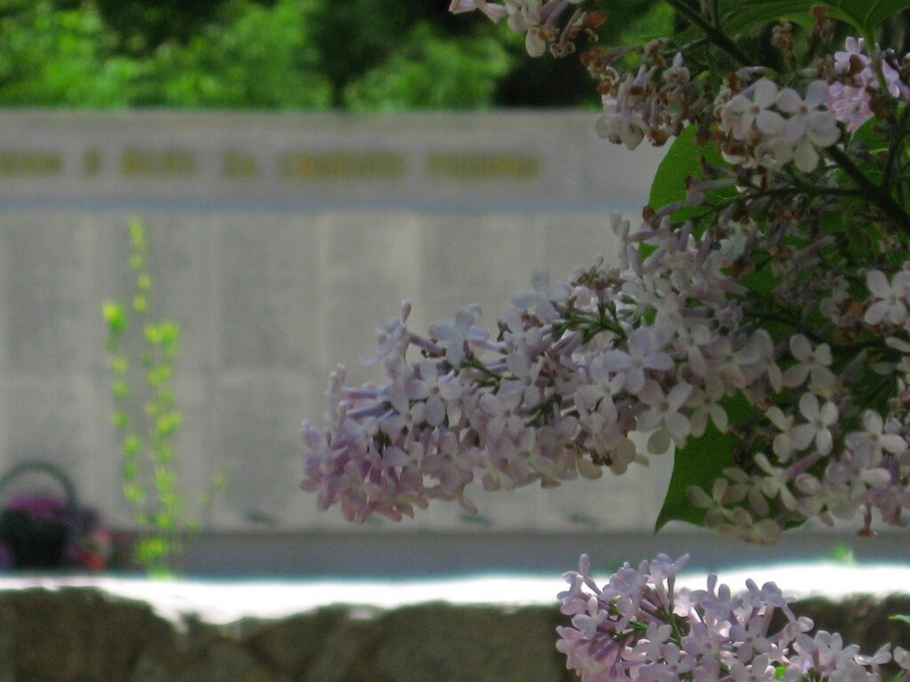 . - Александр Хоменко