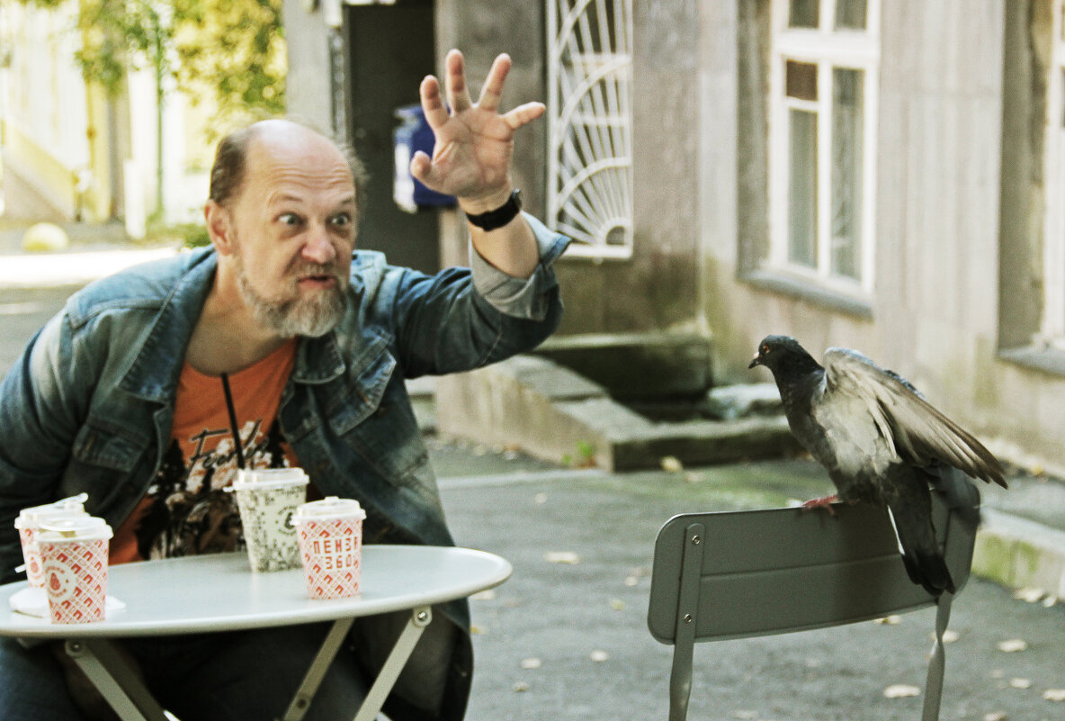 Наглая птица - СЮ 