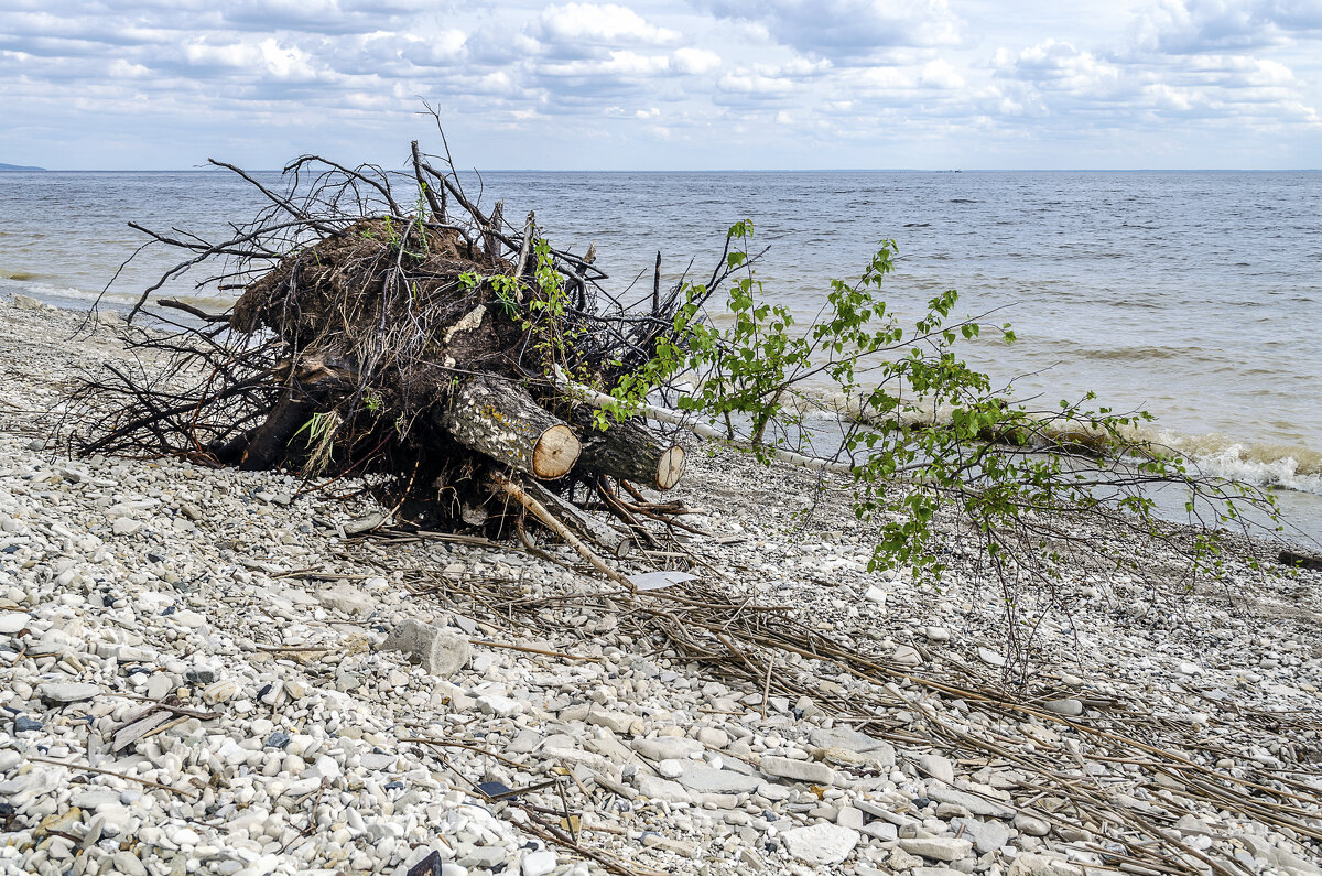 Жизнь побеждает - Андрей Щетинин