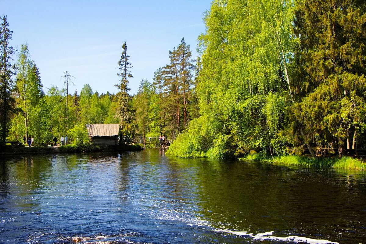 Сказочный край - Тамара Вебер