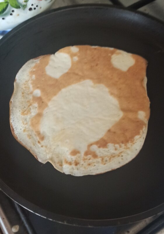 Блин! ты не жалуйся, не кричи, ведь сковорода - это же твоя родина... - Gen Vel