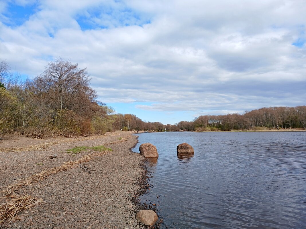 Берег Финского залива. - Лия ☼ Берег Финского залива. - Лия ☼