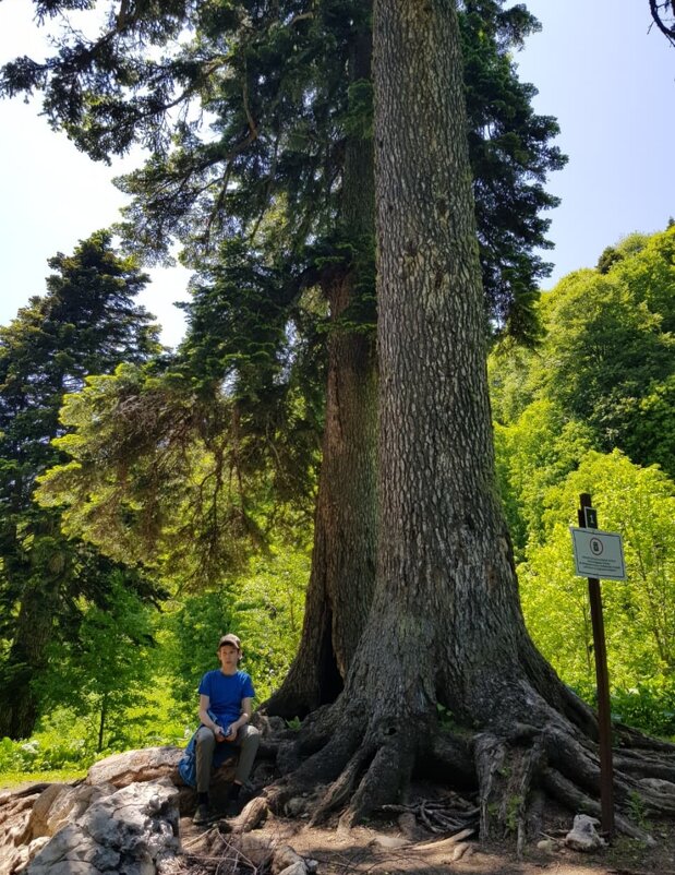 Заповедник. Северный Кавказ - Tata Wolf