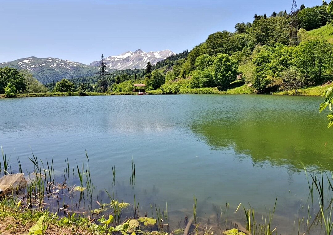 Озеро Партизанская поляна - Tata Wolf