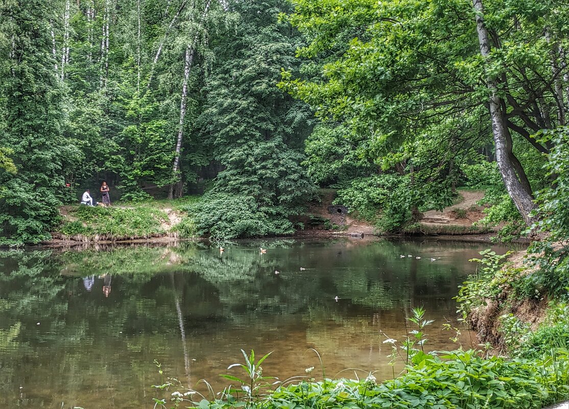 лесное озерцо с утятами - Валентина. .