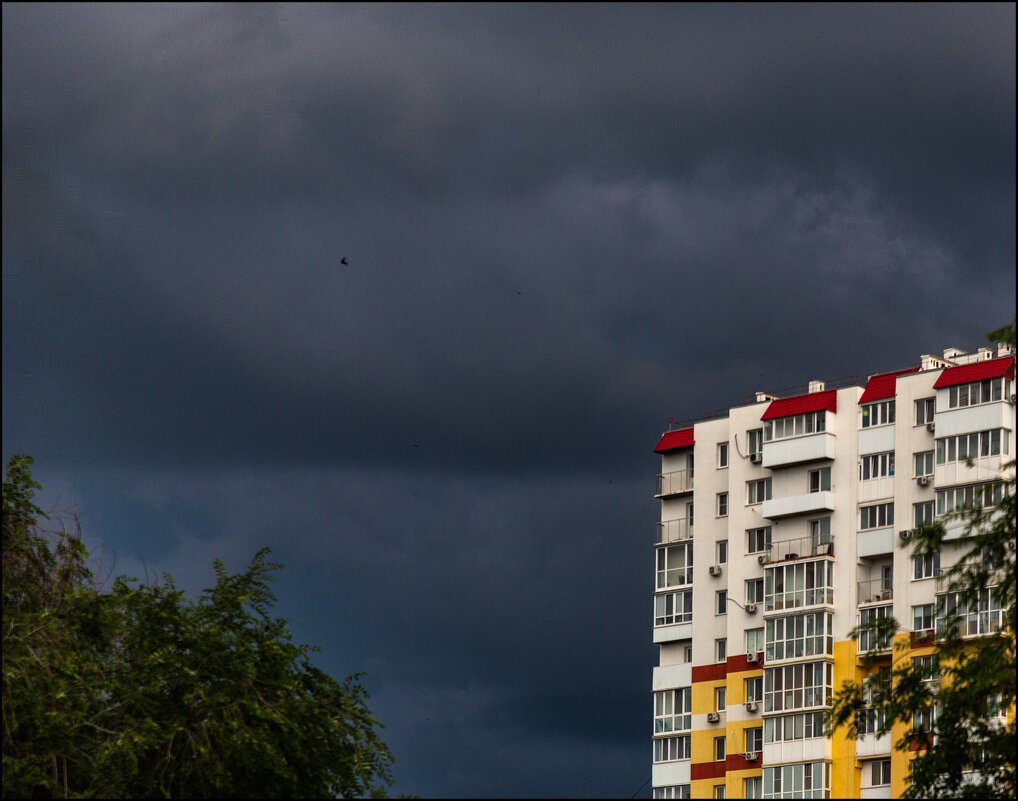 Гроза надвигается - Александр Тарноградский