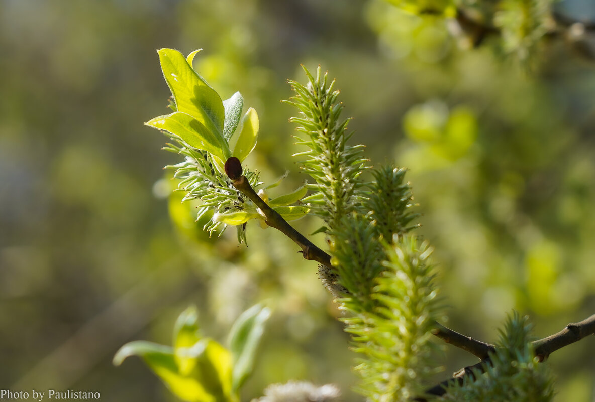 Весеннее... - Владимир Жданов