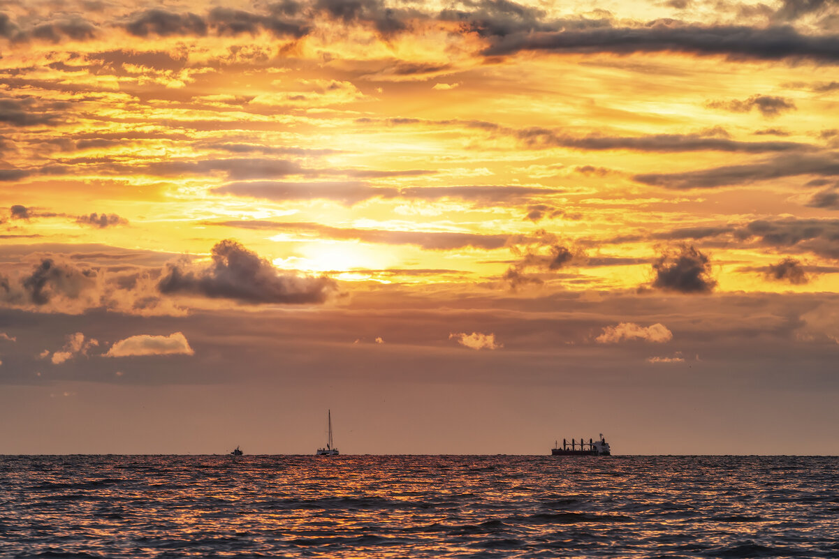 Про Питер - Владимир Колесников