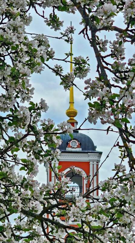 Весна в Варницах - Михаил Свиденцов