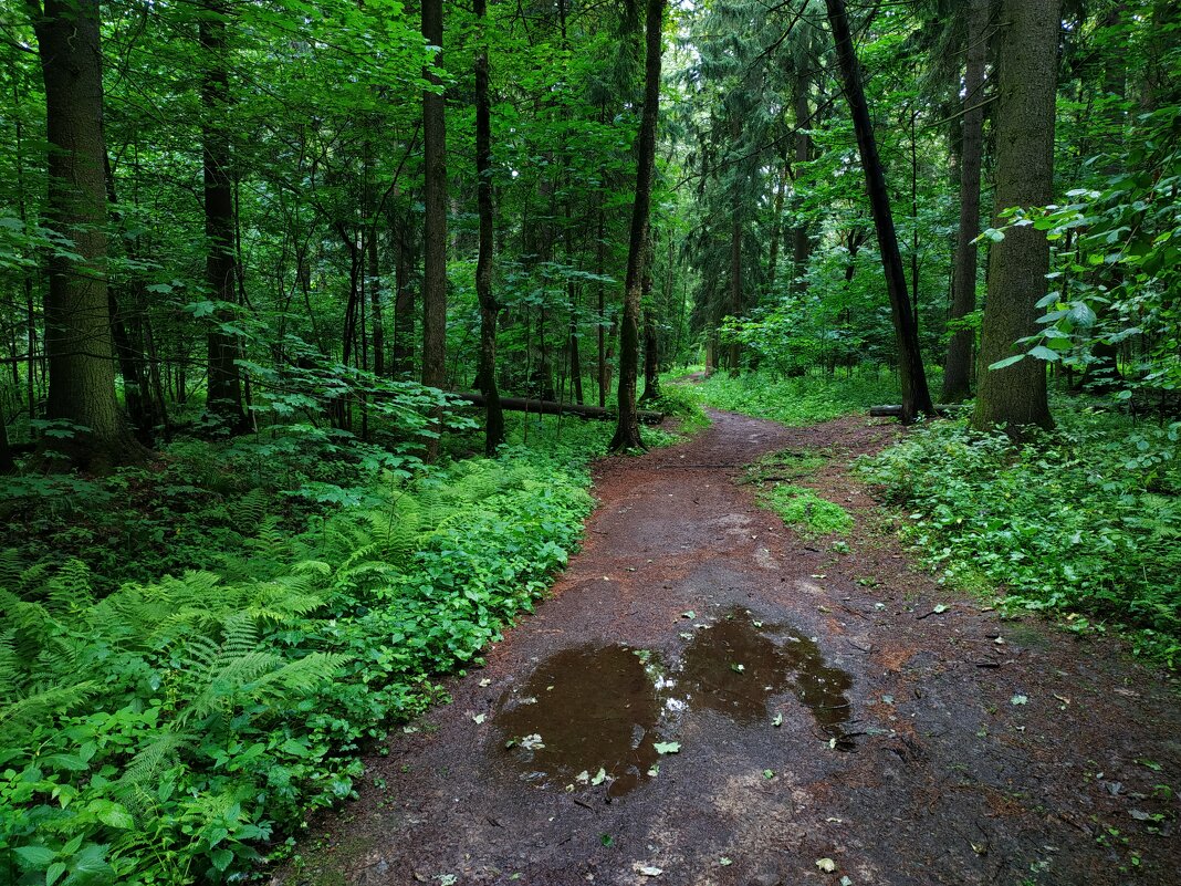 Не самая солнечная часть июня - Андрей Лукьянов
