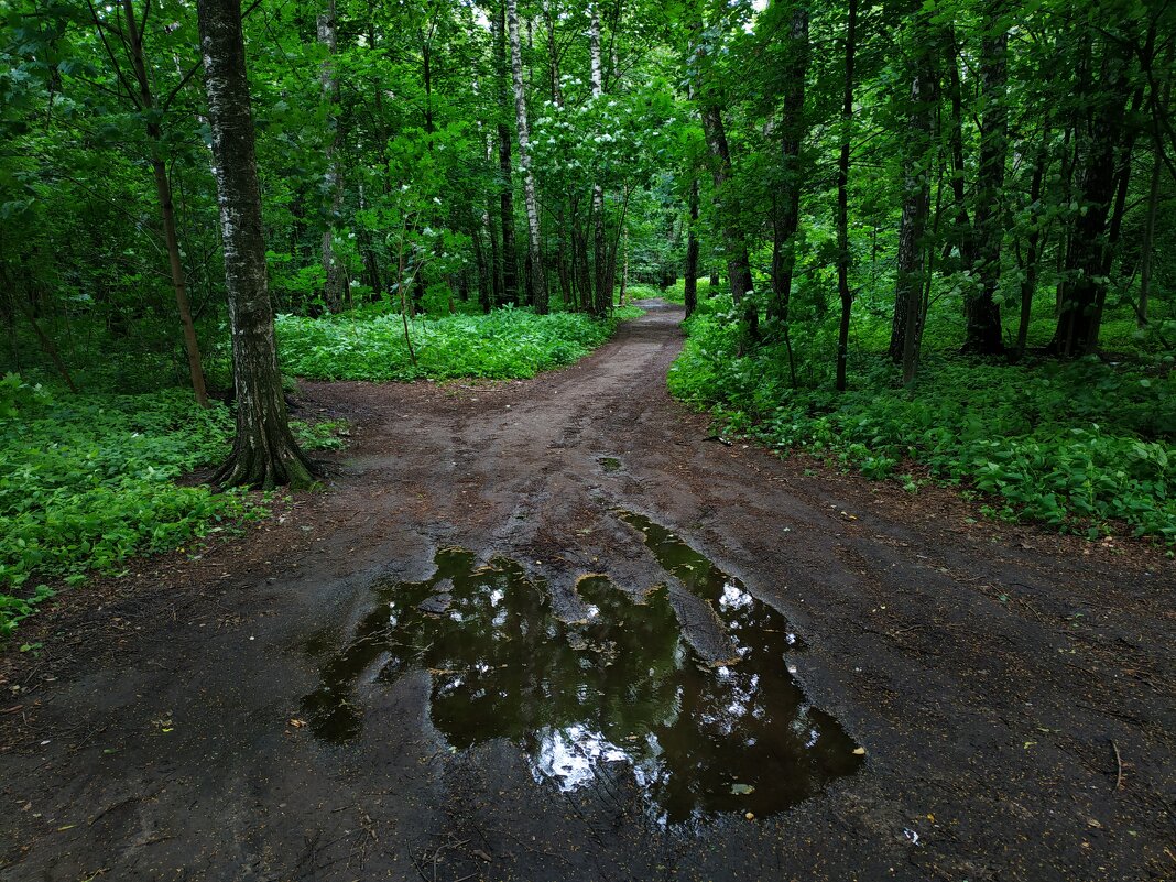 Не самая солнечная часть июня - Андрей Лукьянов