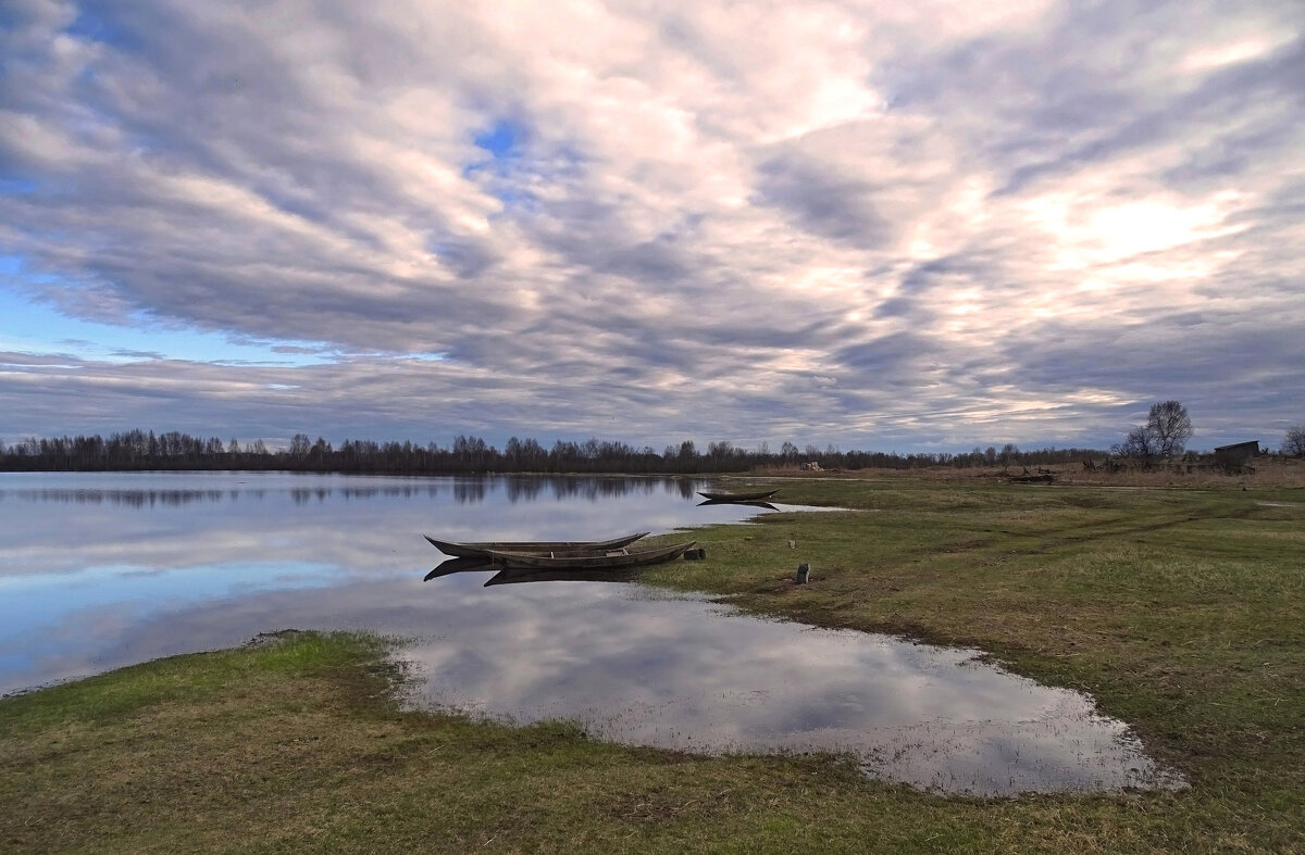 Сибирская весна - Valentina K Сибирская весна - Valentina K