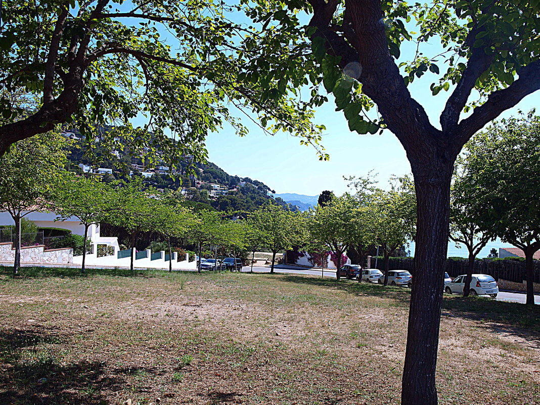 Барселона. - Владимир Драгунский Барселона. - Владимир Драгунский