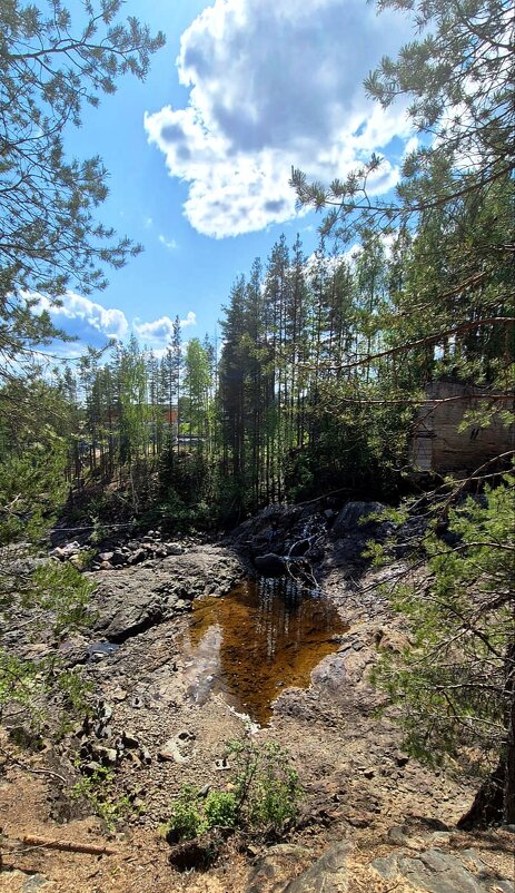 Карелия - Тамара Вебер