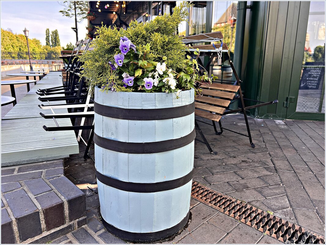 Прогулка по Калининграду. Утреннее кафе. - Валерия Комова Прогулка по Калининграду. Утреннее кафе. - Валерия Комова