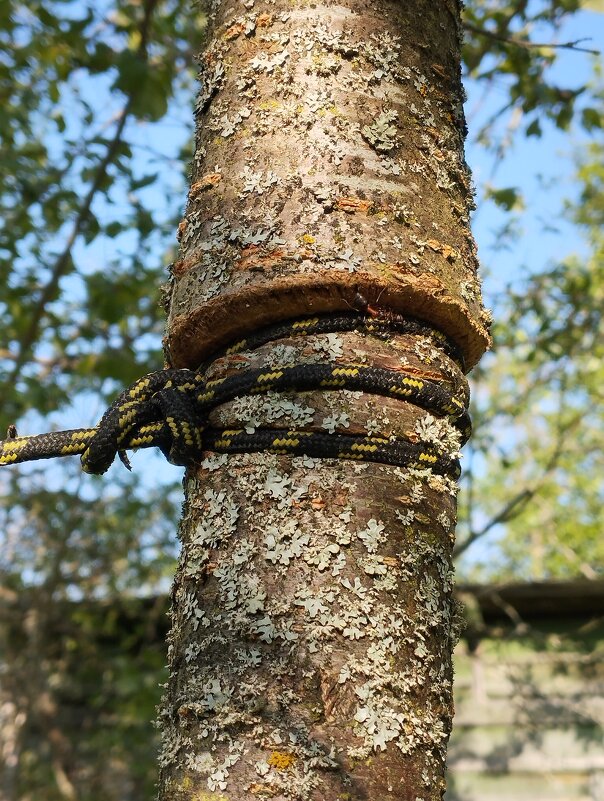 веревка - Сергей Лындин