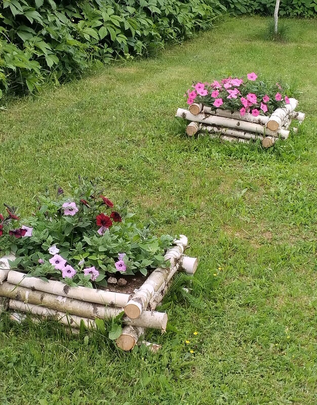 Принцессы сада. - Ольга Довженко Принцессы сада. - Ольга Довженко