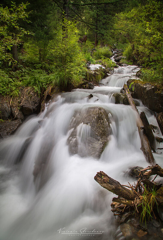 Лесной ручей Боки (3) - Вениамин Скородумов Лесной ручей Боки (3) - Вениамин Скородумов