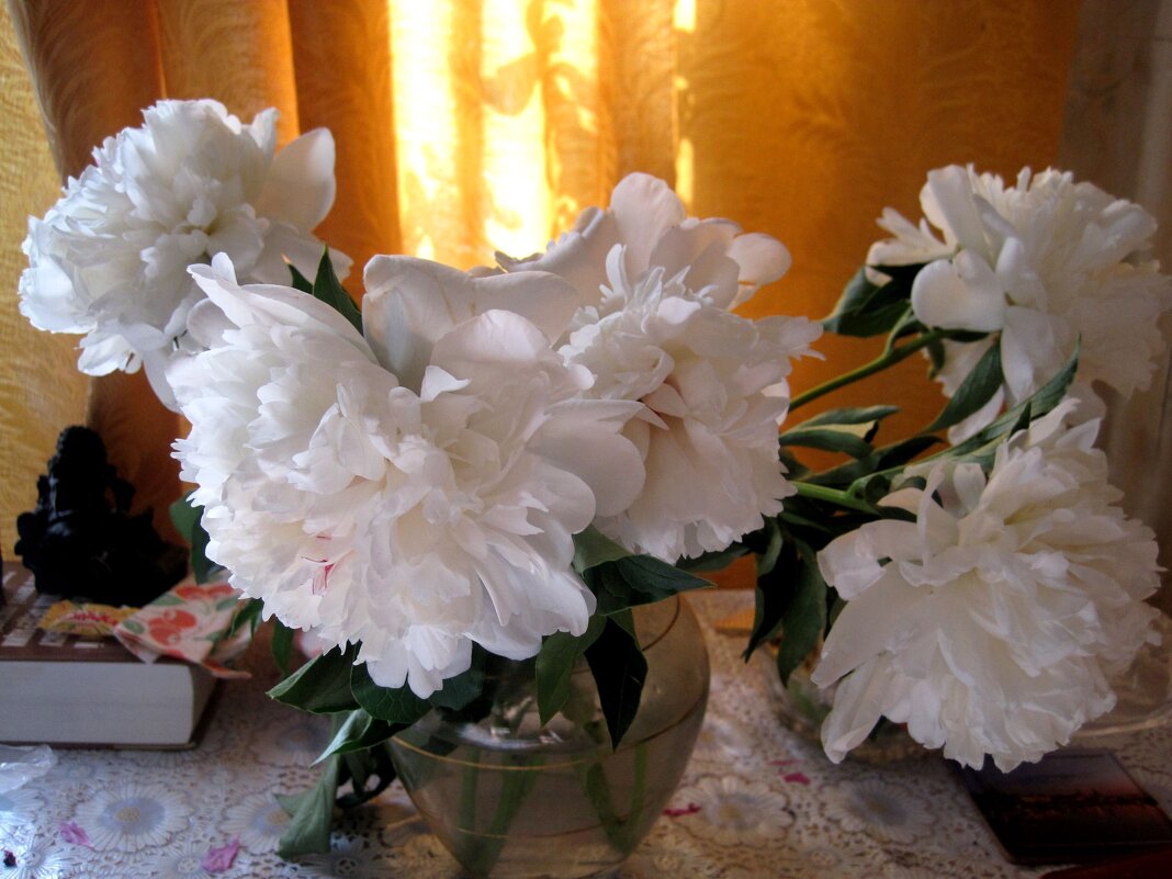 Букет пионов - Елена Семигина