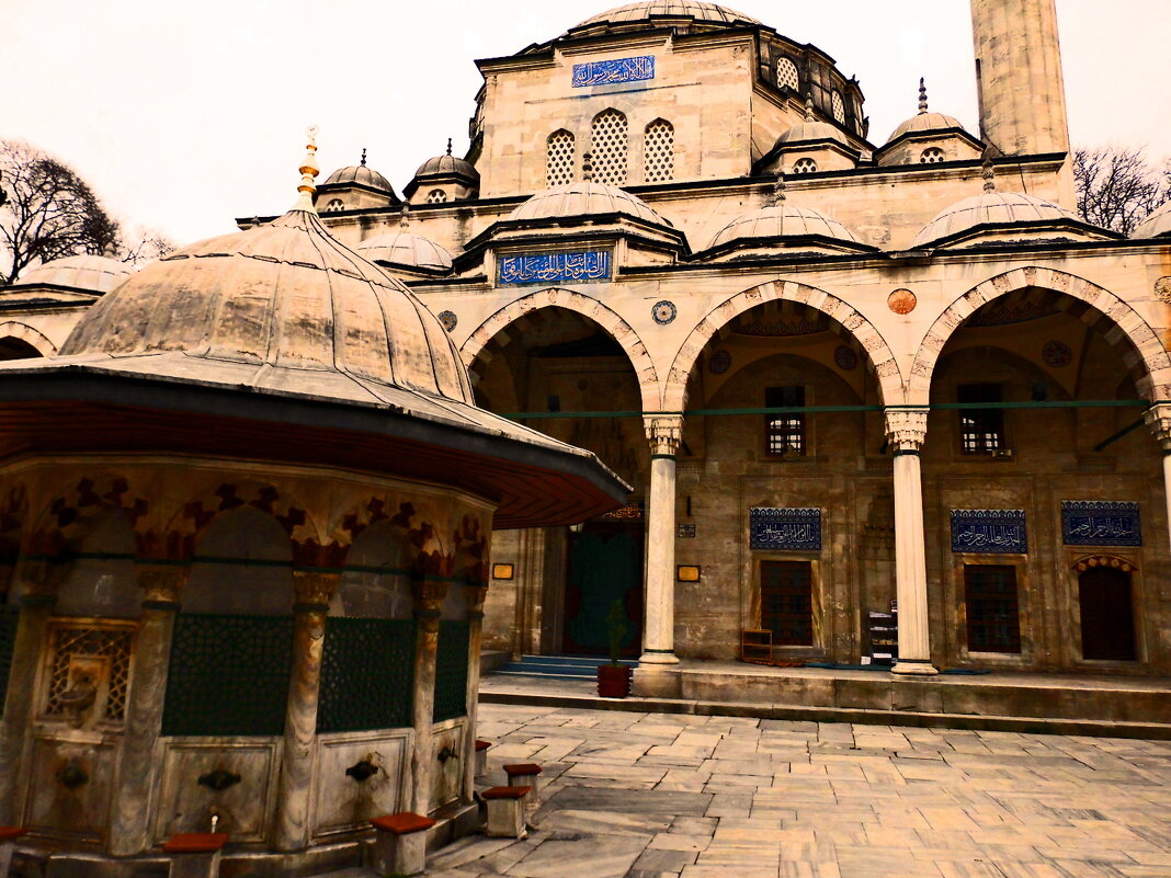 Стамбул - 19 - Артём Кузнецов