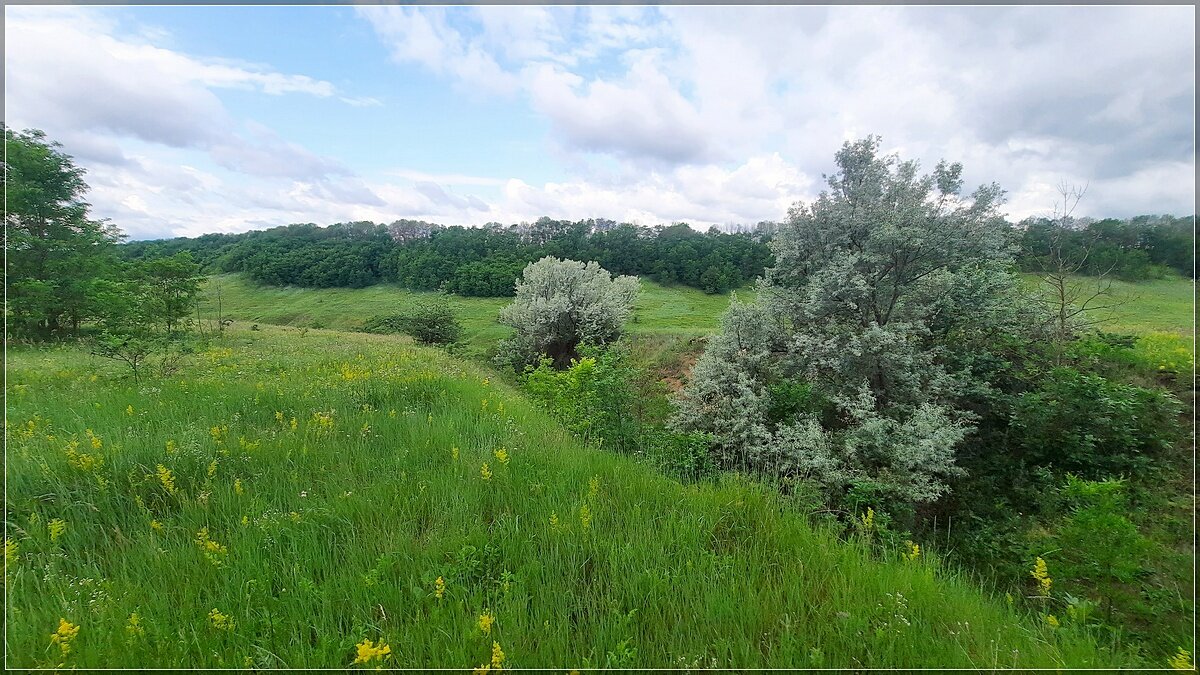Дни Летнего Солнцестояния - Сеня Белгородский Дни Летнего Солнцестояния - Сеня Белгородский