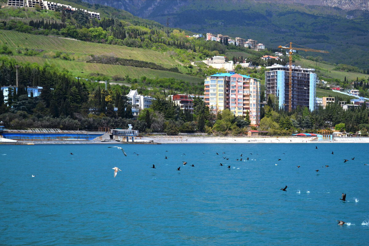 Гурзуфский берег - Ольга 