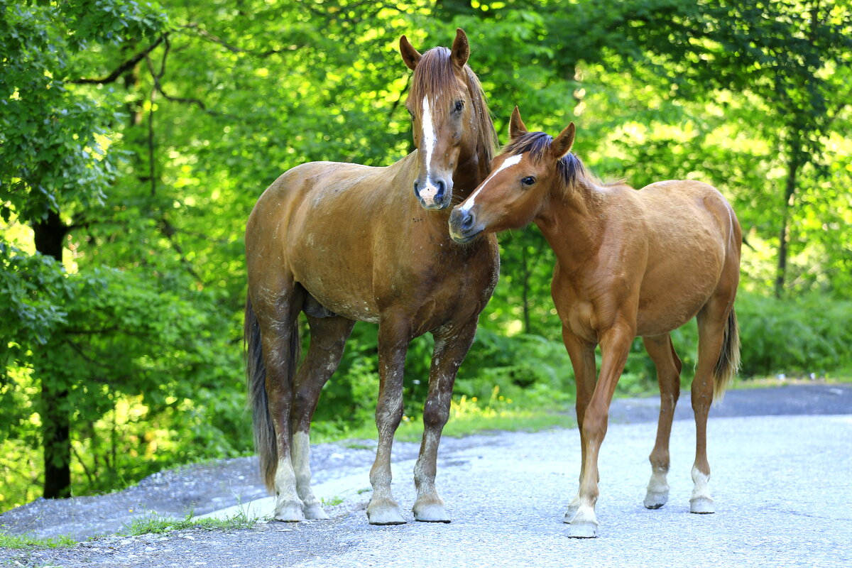На прогулке - Валерий 