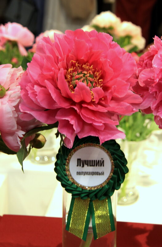 "Магия пионов" - Vlad Сергиевич