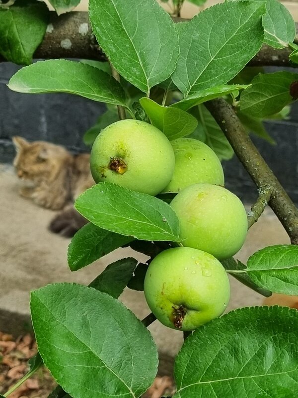 Умытое утро - Наталья 