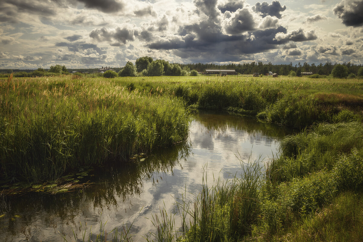 Кажется тучи собираются - Валерий VRN Кажется тучи собираются - Валерий VRN