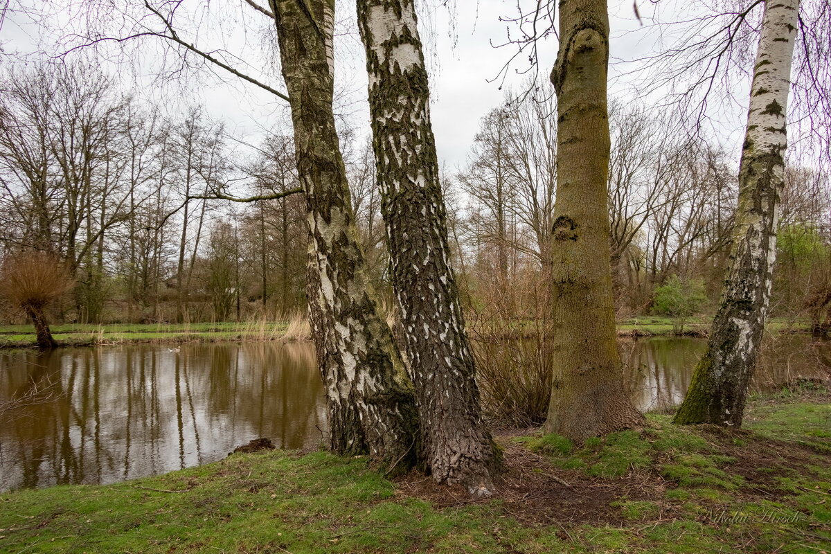 *** - Николай Гирш