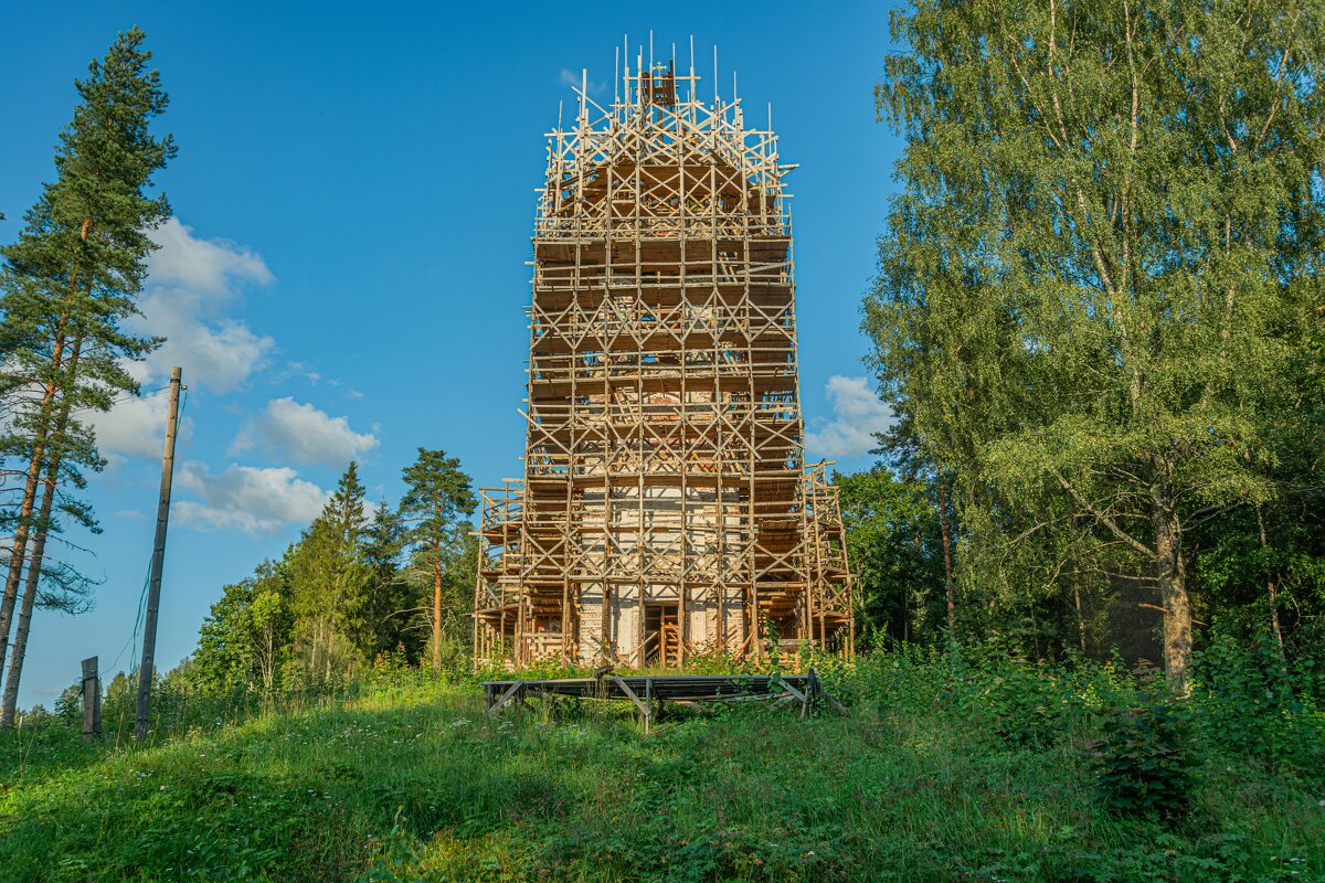 Чудеса в глубинах лесов - Александр Филатов Чудеса в глубинах лесов - Александр Филатов