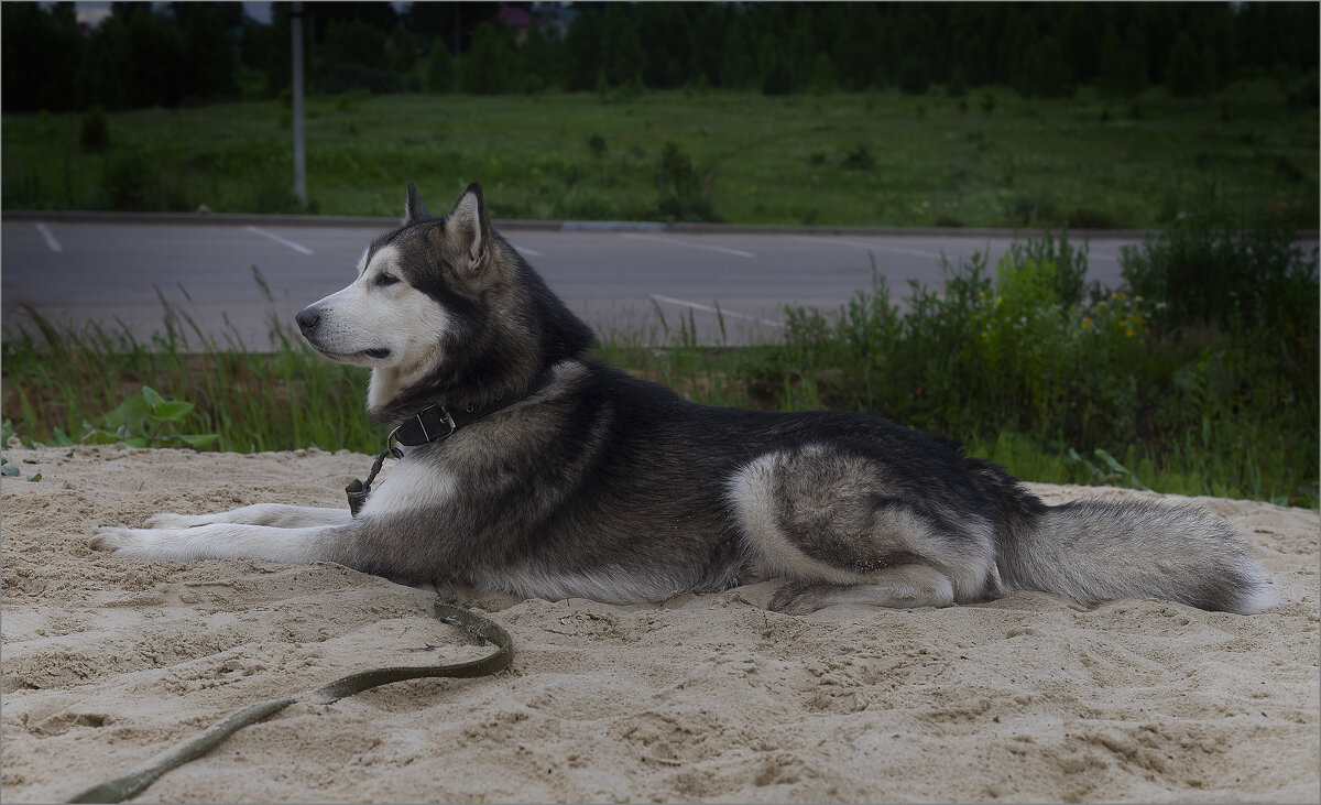 Ярик. - leff Postnov